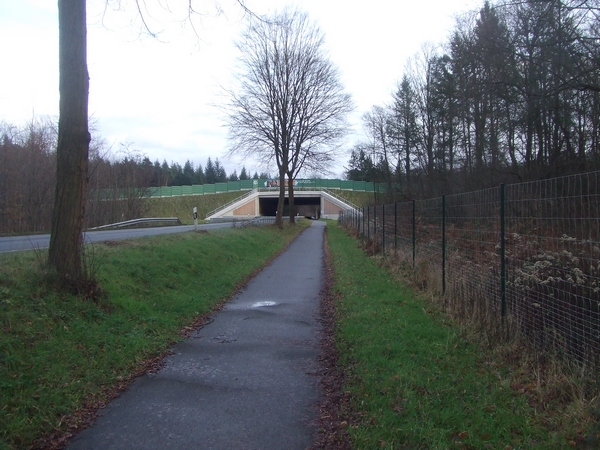 Grünbrücke über LandesStraße