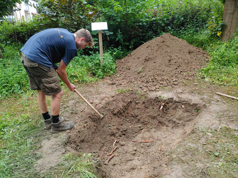 Flo (FlowBee) im Sandarium-Einsatz