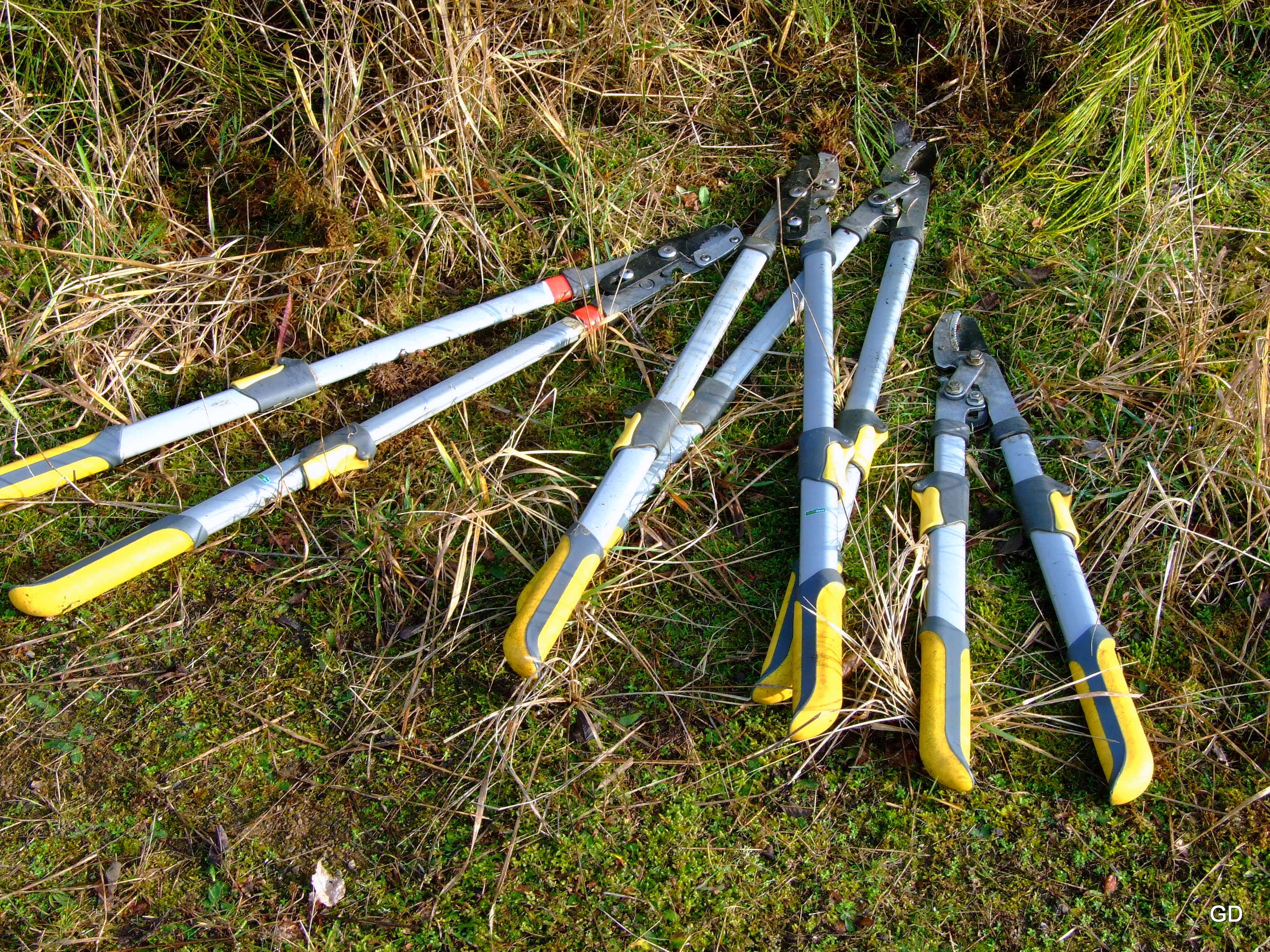 Bergische Heideterrasse, Veranstaltung Naturschutz Aktiv